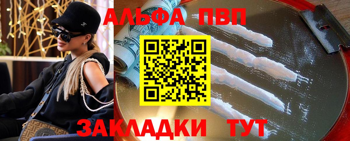 A PVP СК Калининград