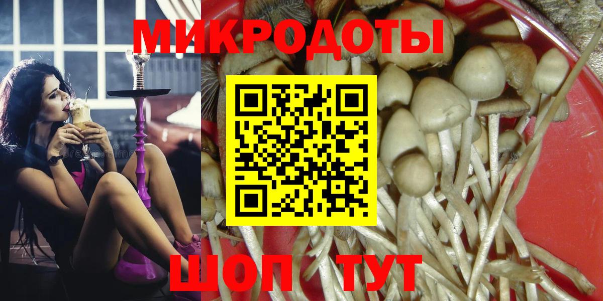 Галлюциногенные грибы прущие грибы  Вход с VPN  Калининград  Галлюциногенные грибы MAGIC MUSHROOMS 