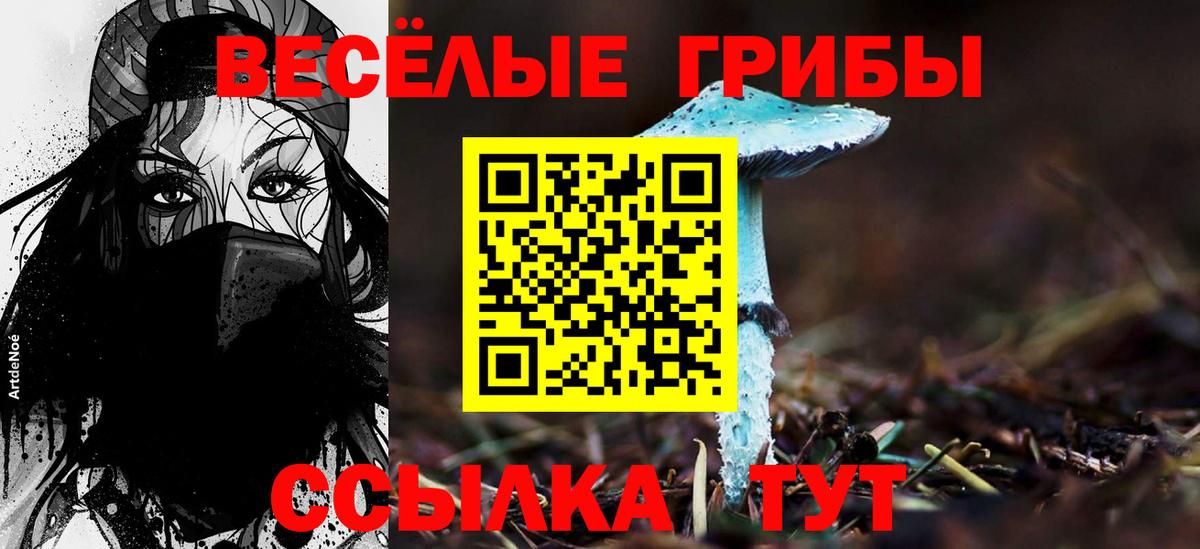 Галлюциногенные грибы Cubensis Калининград